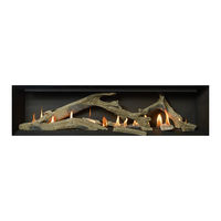 Fireplacextrordinair 94500971 Installation Instructions Manual