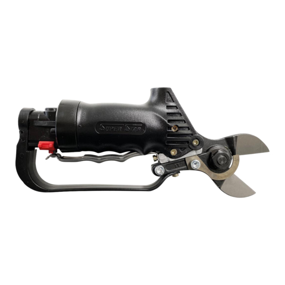 CAMPAGNOLA SUPER STAR DT Quick Manual