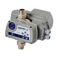 DGFLOW STEADYPRES 2.0 M/T 12 Manual