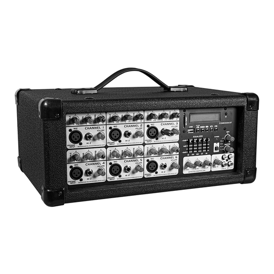 SoundLab P648WP Instruction Manual