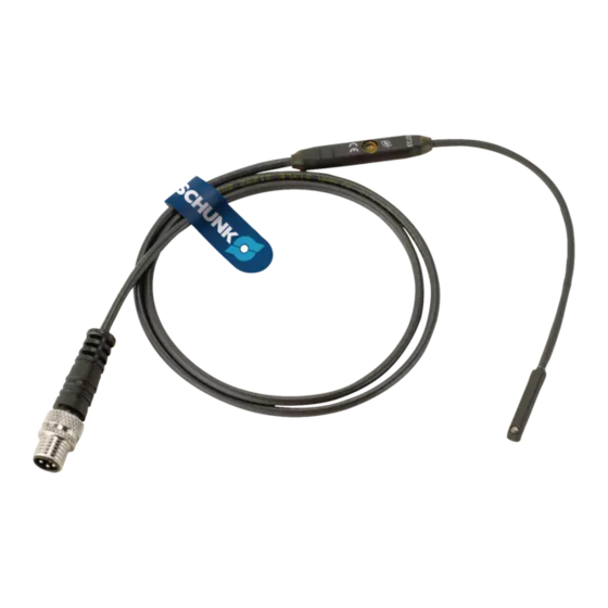 SCHUNK MMS-P 22 Commissioning Instructions