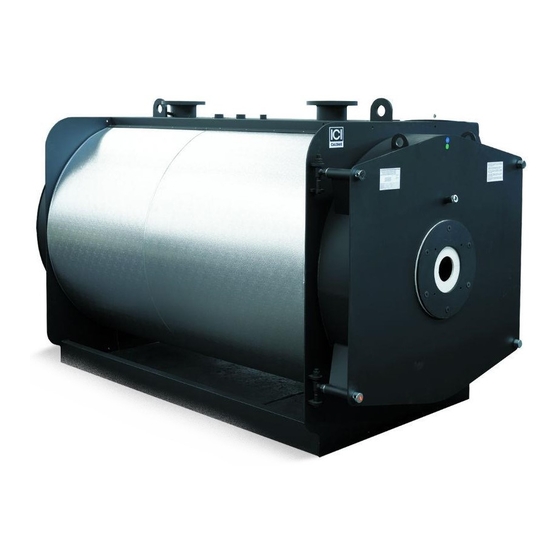ICI Caldaie REX 140 Instructions For Installation, Use And Maintenance Manual