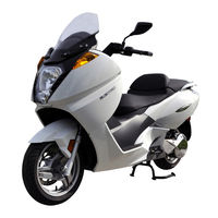 Vectrix VX-1 Manual