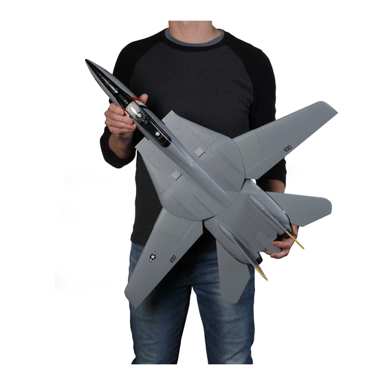 Horizon Hobby E-FLITE F-14 Tomcat Twin 40mm EDF Instruction Manual