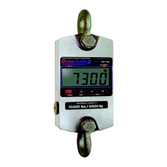 Rice Lake Dyna-Link 2 MSI-7300 Technical Manual