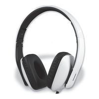 fontastic X540Ri User Manual