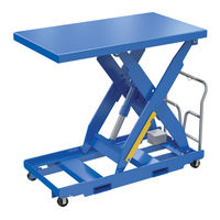Vestil EHLTP-4864-2-60-D2 Manual