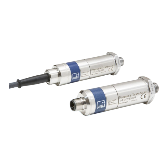 HBK P3IC Mounting Instructions
