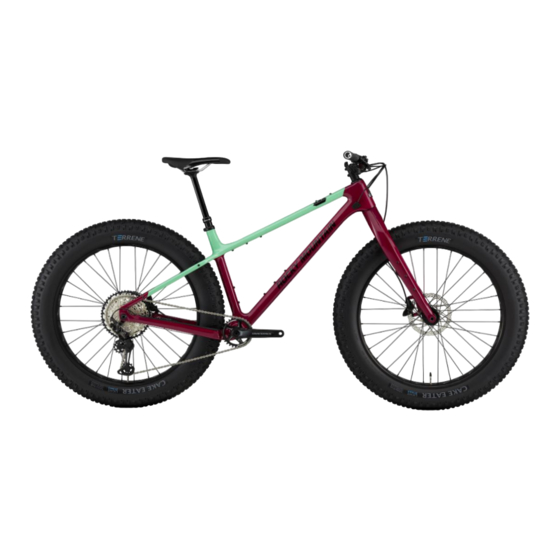Rocky Mountain Blizzard Carbon Platform Manual