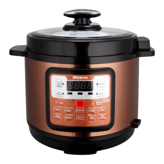 Minerva D508 User Manual