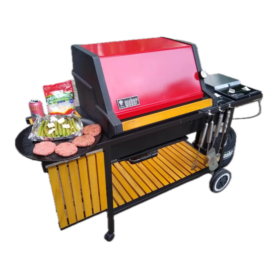 Weber 3000 Owner's Manual