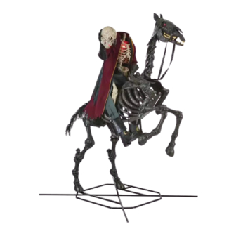Home Accents Holiday 24SV24282 Use And Care Manual