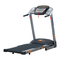 Treadmill York Fitness diamond t302 Owner's Manual