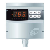 Pego ECP200 BASE 2 Use And Maintenance Manual