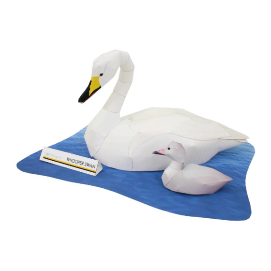 Canon PAPER CRAFT Whooper Swan Manuals