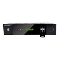 Soundavo PSB-1000 DSP Owner's Manual