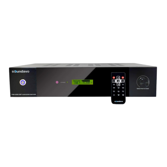 Soundavo PSB-1000 DSP Owner's Manual