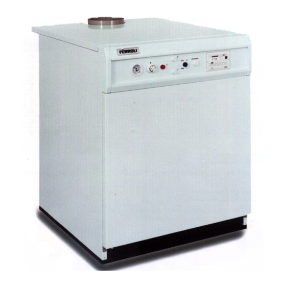 Ferroli Pegasus F3 119 Installation And Maintenance Instructions Manual