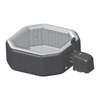 Intex PureSpa Jet & Bubble Deluxe Octagon Manual