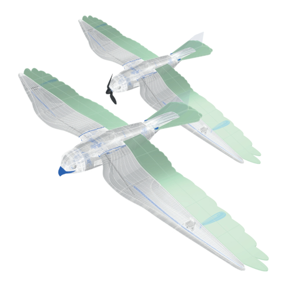 PLANEPRINT Falcon Realistic Bird motor Assembling Manual