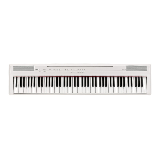 Yamaha P-105 Reference
