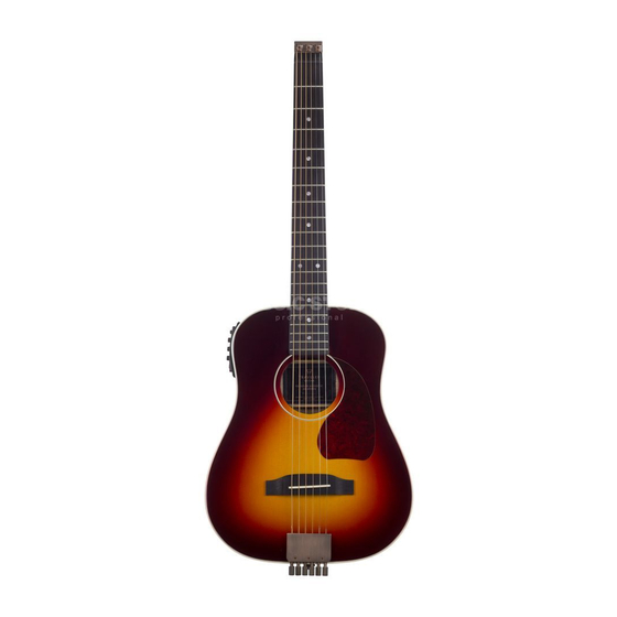 Traveler Guitar AG-450 User Manual