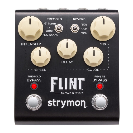 Strymon FLINT Quick Start Manual