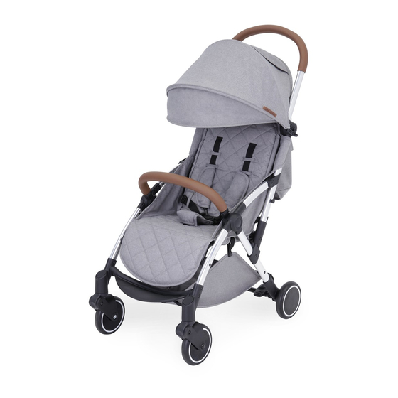 Ickle Bubba Globe Manual