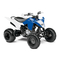 Offroad Vehicle Yamaha RAPTOR YFM125RA Service Manual