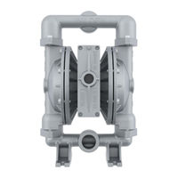 Wilden PR460 Maintenance Manual