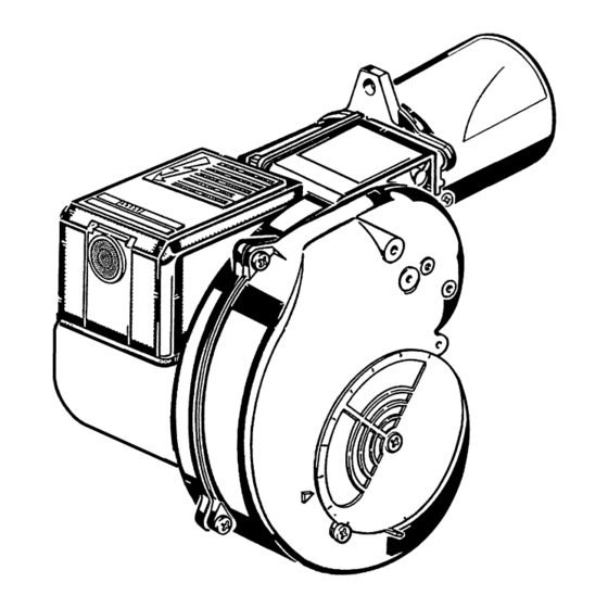 Riello 40 G5X C Installation, Use And Maintenance Instructions