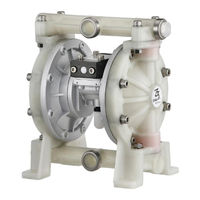 DYI SHENG DS04-P Operating Manual