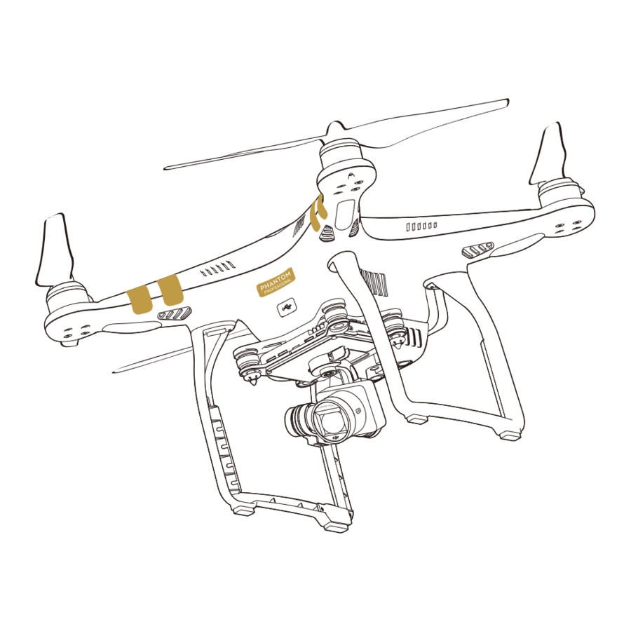 DJI Phantom 3 Professional Quick Start Guide