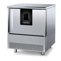 Everlasting PROFESSIONAL TRAY 07 P Use And Maintenance Manual