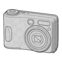 SONY Cyber-shot DSC-S80 User's Manual / Troubleshooting