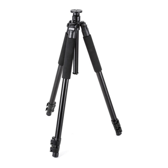 Walimex Pro FT-665T Pro Manual