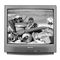 CRT TV Sanyo DS25320 Owner's Manual