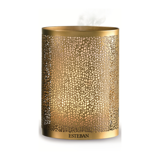User Manuals: ESTEBAN CMP-157 Fragrance Mist Diffuser