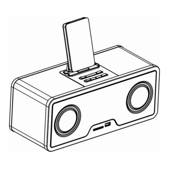 Schaub Lorenz IPH-2609 User Manual