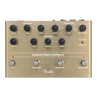 Fender Downtown Express Manual