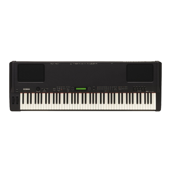 Yamaha P-250 Data List