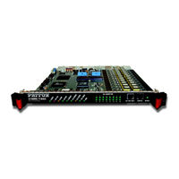 Patton Electronics 3196RC User Manual