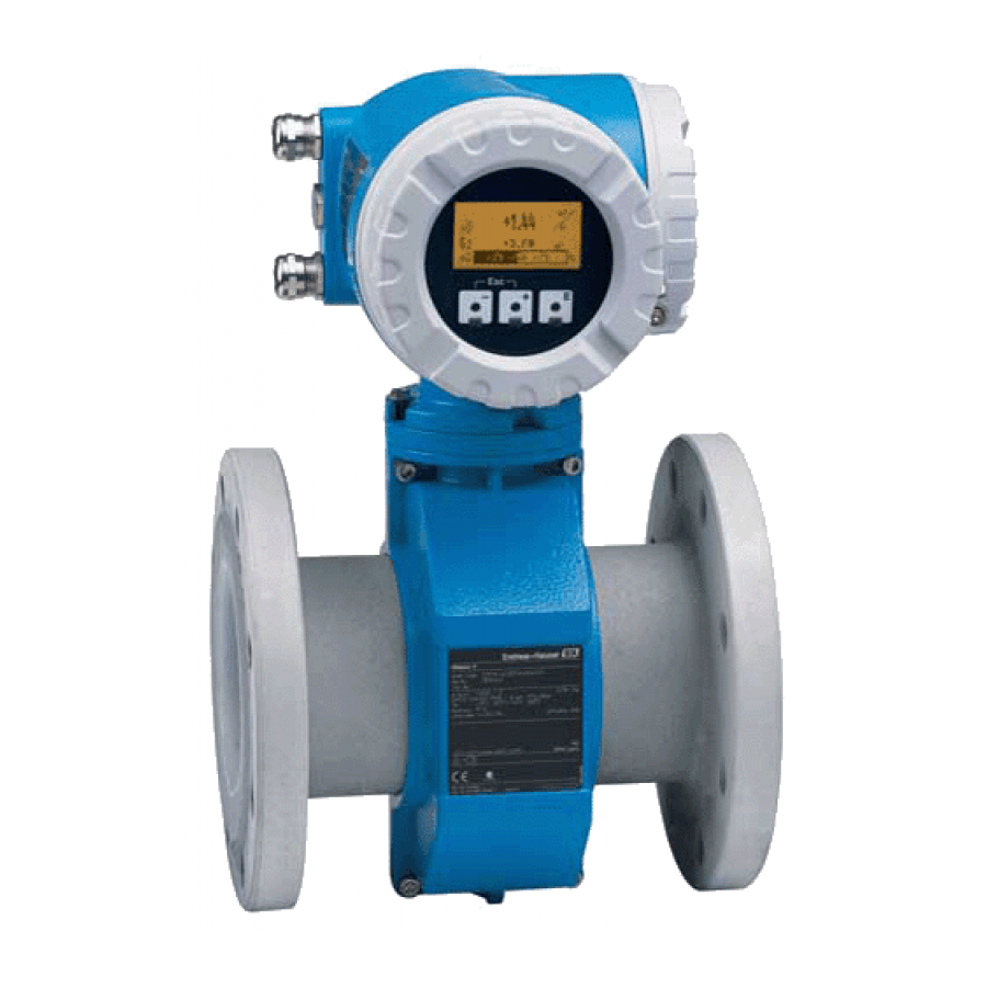 ENDRESS+HAUSER PROMAG INSTALLATION INSTRUCTIONS MANUAL Pdf Download