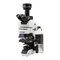 Microscope Olympus BX53 User Manual