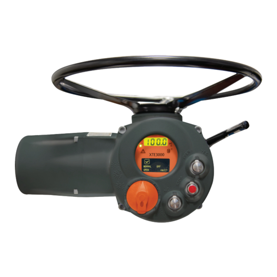 EMERSON BETTIS XTE3000 INSTALLATION, OPERATION AND MAINTENANCE MANUAL