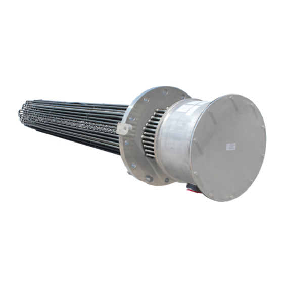 CX - Flange Heater