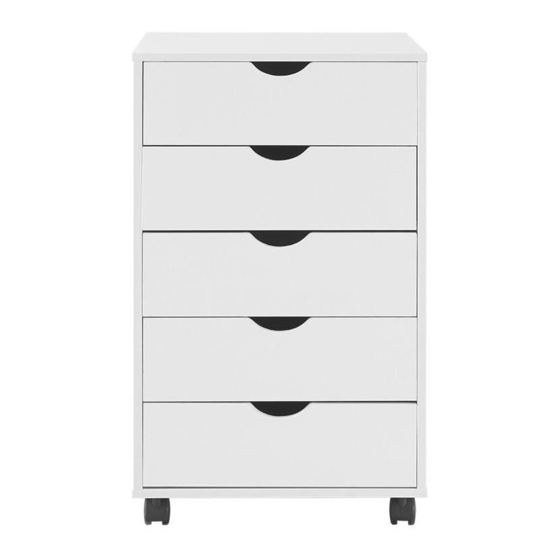 Taylor 5 Drawers Cabinet by Naomi Home