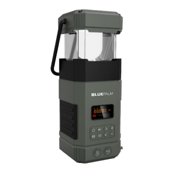 BLUEPALM BP-585 Instructions Manual