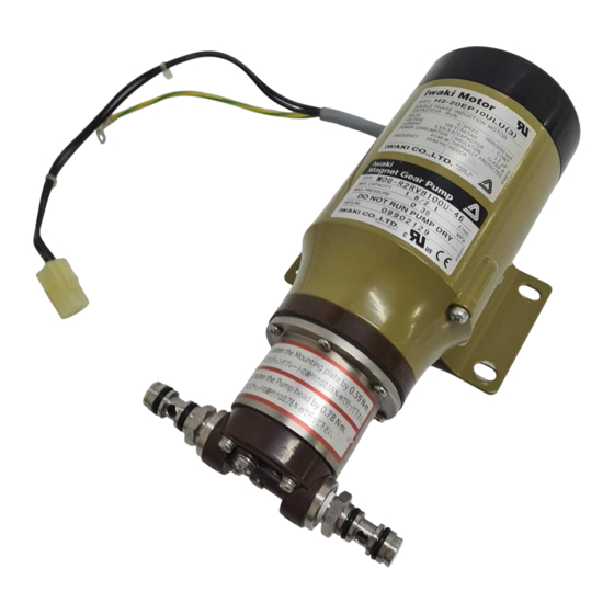 IWAKI PUMPS MDG-H2 Instruction Manual
