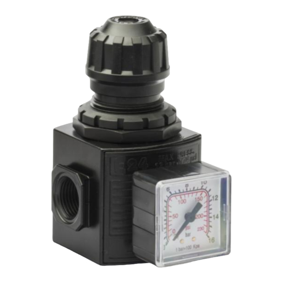 ANI E25 Operation And Maintenance Manual